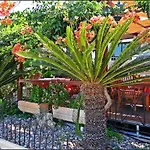 Sun فندق *