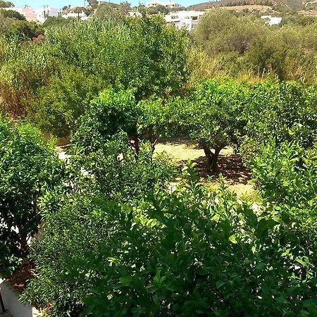 Sun קלטוס