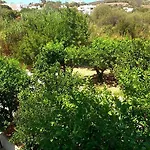 Sun Kaláthos